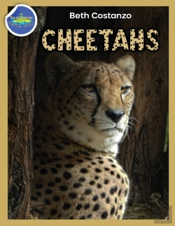 Bertrand.pt - Cheetah Activity Workbook Ages 4-8