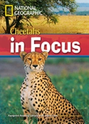 Cheetah Chase!2200 Headwords