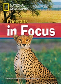 Bertrand.pt - Cheetah Chase!2200 Headwords