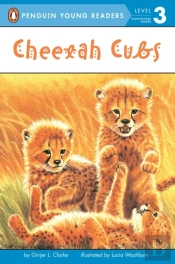 Cheetah Cubs