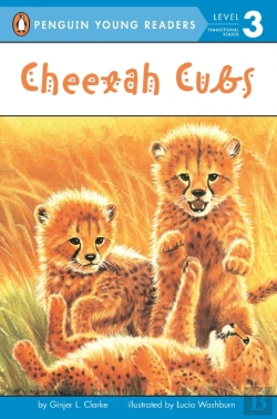 Bertrand.pt - Cheetah Cubs
