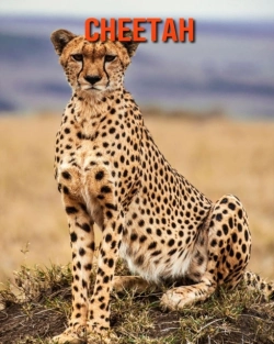 Bertrand.pt - Cheetah