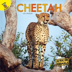 Bertrand.pt - Cheetah