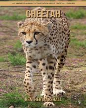 Cheetah