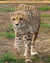 Cheetah