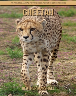 Bertrand.pt - Cheetah