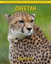 Cheetah