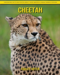 Bertrand.pt - Cheetah