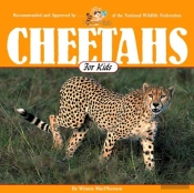 Cheetahs For Kids