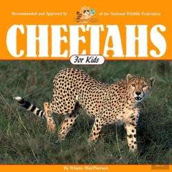 Bertrand.pt - Cheetahs For Kids