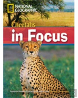 Bertrand.pt - Cheetahs In Focus