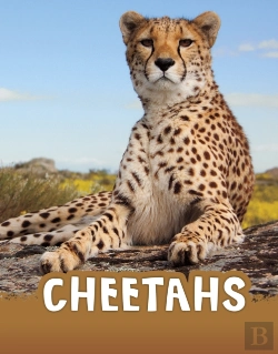Bertrand.pt - Cheetahs