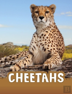 Bertrand.pt - Cheetahs