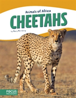 Bertrand.pt - Cheetahs
