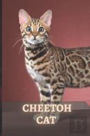 Cheetoh Cat