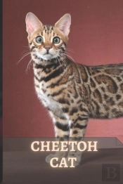 Cheetoh Cat