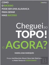 Cheguei ao Topo! E Agora?