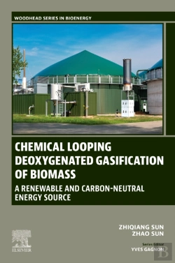 Bertrand.pt - Chemical Looping Deoxygenated Gasification Of Biomass