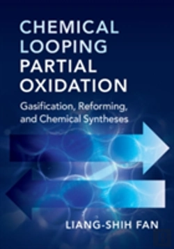 Bertrand.pt - Chemical Looping Partial Oxidation