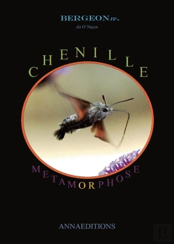 Bertrand.pt - Chenille