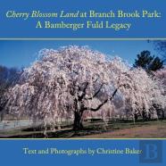 Cherry Blossom Land At Branch Brook Park