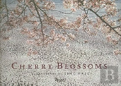 Cherry Blossoms