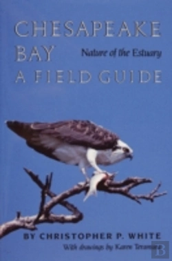 Bertrand.pt - Chesapeake Bay Nature Of The Estuary