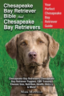 Chesapeake Bay Retriever Bible And Chesapeake Bay Retrievers