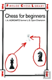 Chess For Beginners