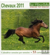 Chevaux 2011