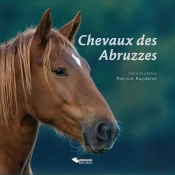 Chevaux Des Abbruzzes