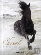 Chevaux En Liberte
