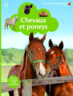 Bertrand.pt - Chevaux Et Poneys