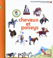 Chevaux Et Poneys