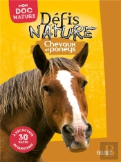 Chevaux Et Poneys