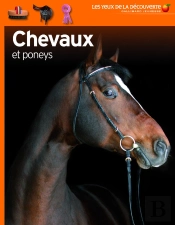 Chevaux Et Poneys
