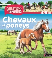Chevaux Et Poneys