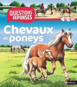 Bertrand.pt - Chevaux Et Poneys