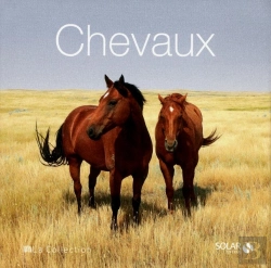 Bertrand.pt - Chevaux - La Collection