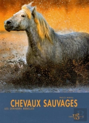 Chevaux Sauvages ; Les Derniers Rebelles
