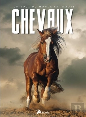 Chevaux, Un Tour Du Monde En Images
