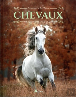 Bertrand.pt - Chevaux : Un Univers Fabuleux