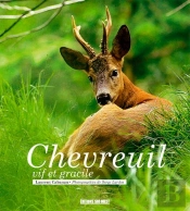 Chevreuil