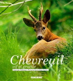 Bertrand.pt - Chevreuil