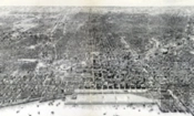 Chicago 1910-1930 ; Le Chantier De La Ville Moderne
