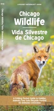 Chicago Wildlife/Vida Silvestre De Chicago
