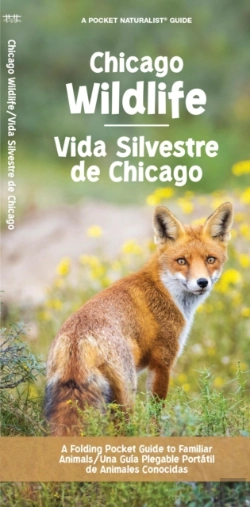 Bertrand.pt - Chicago Wildlife/Vida Silvestre De Chicago