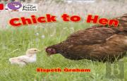 Chick To Hen