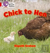 Chick To Hen