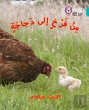 Chick To Hen